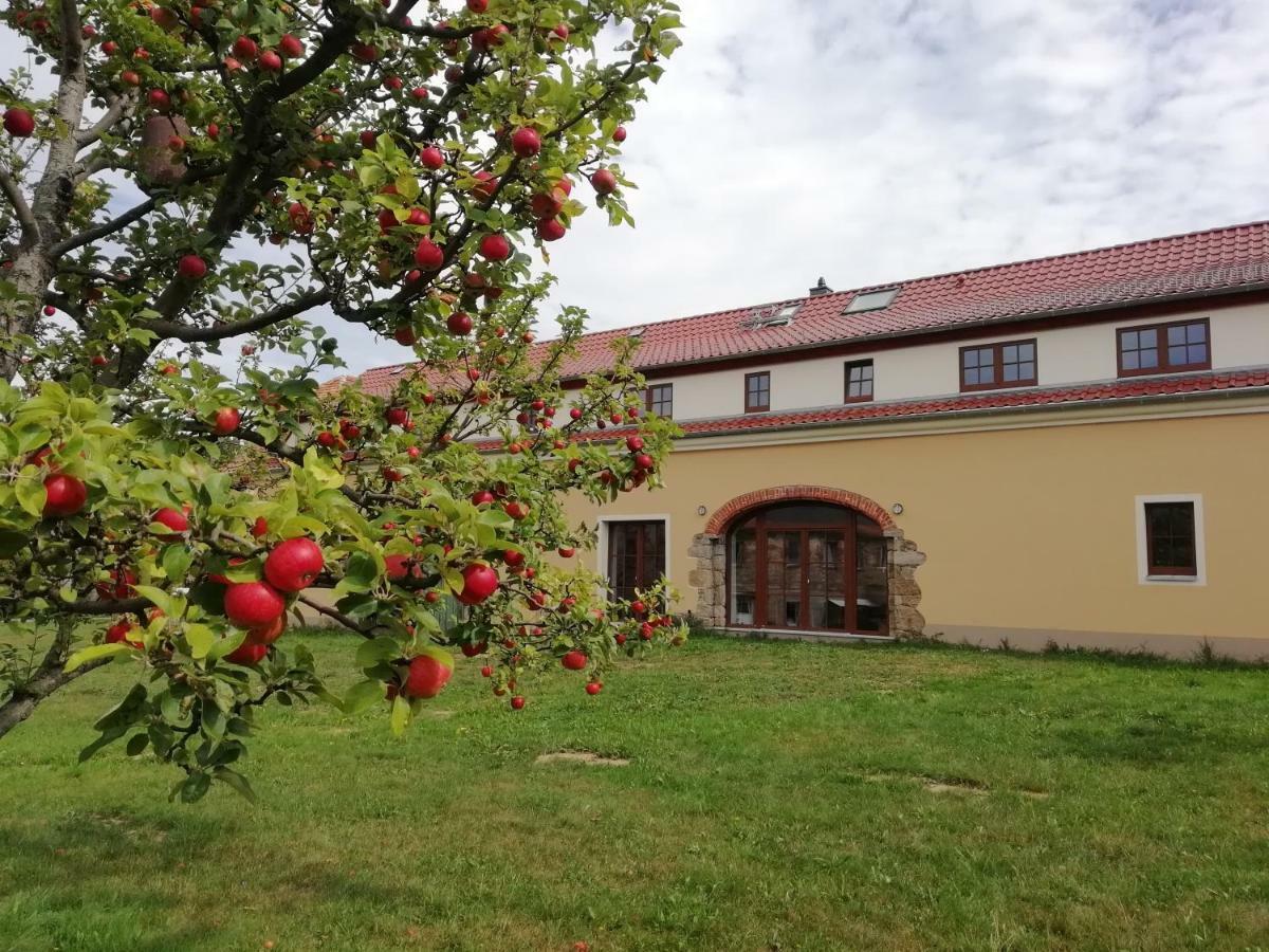 Ferienhof-Kuehn Hochkirch Eksteriør bilde